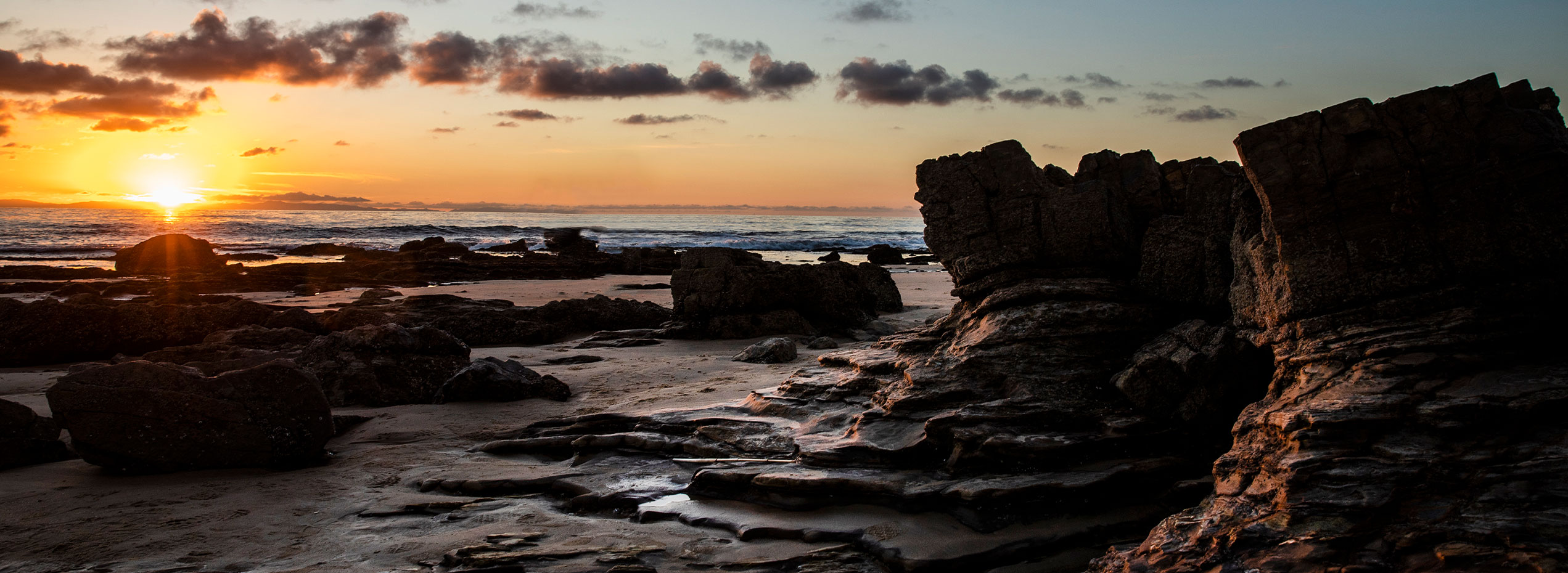 LCAD Location Banner 8.24