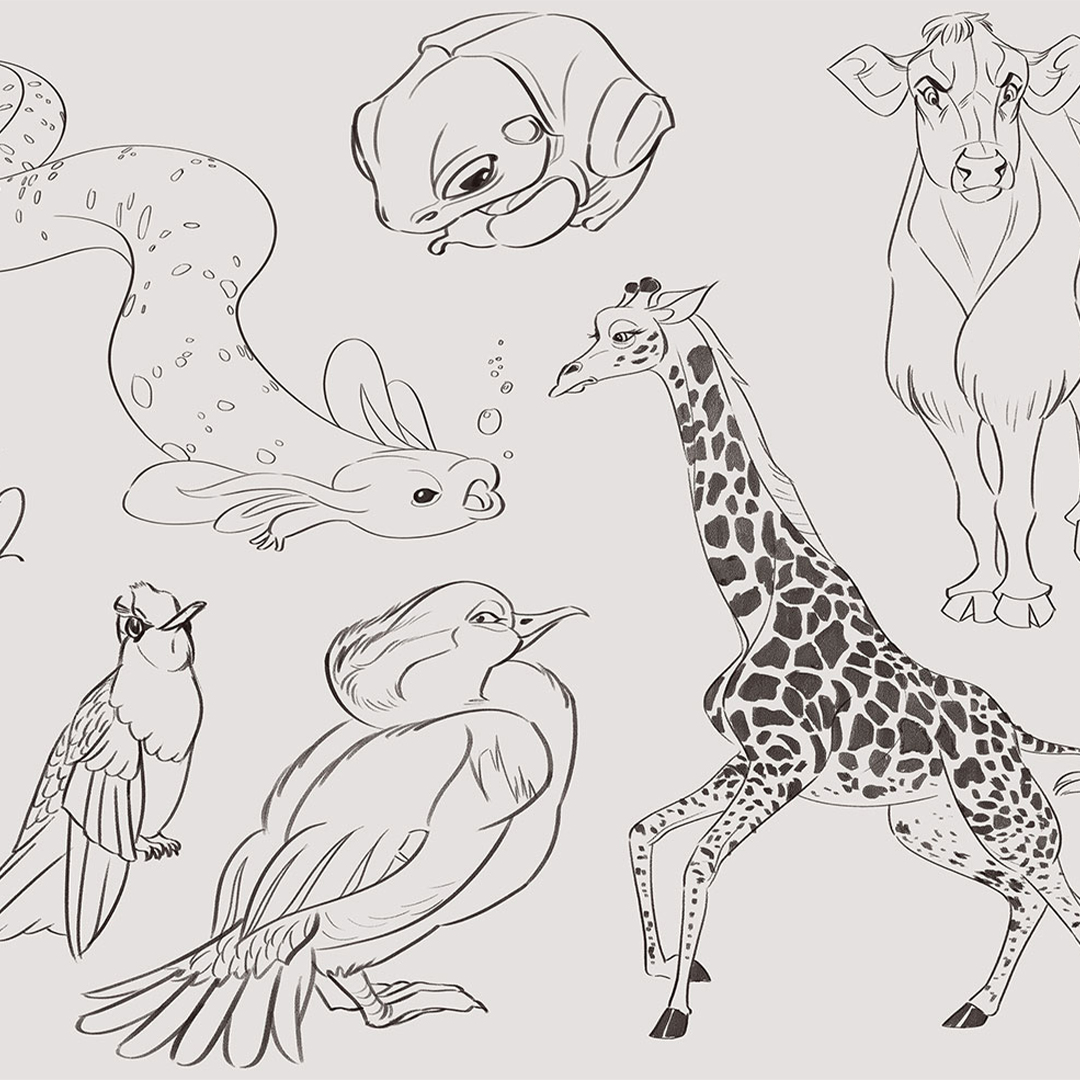 Sketches of zoo animals.