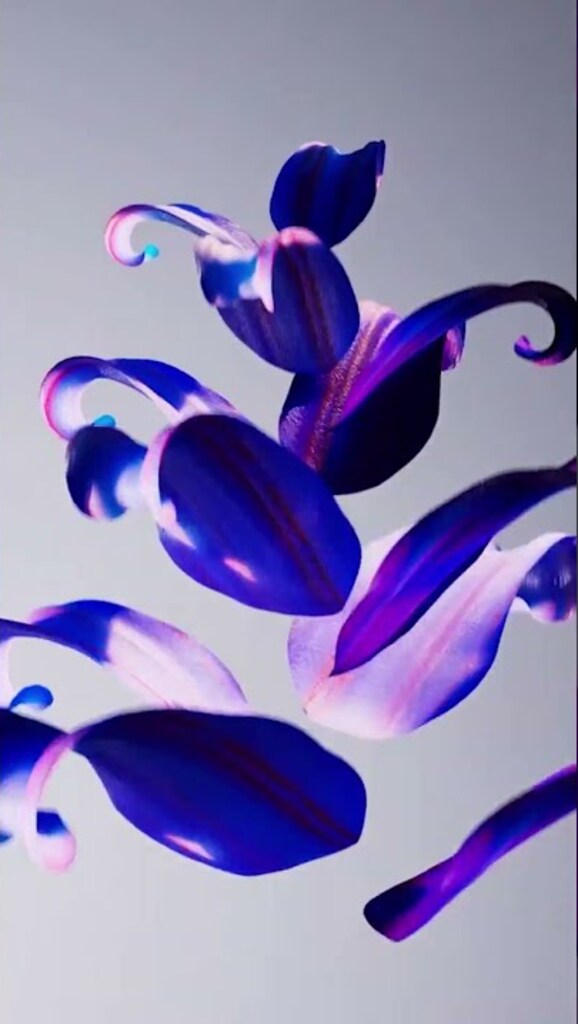 Graphic Design + Digital Media