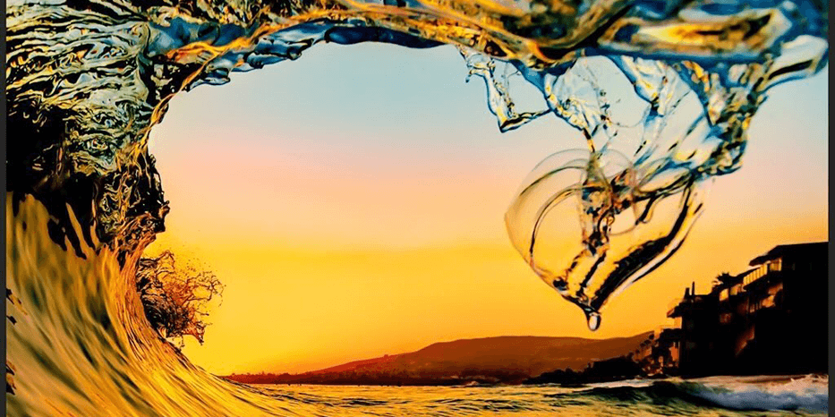 15th ANNUAL LAGUNA BLUEBELT PHOTO EXHIBITION