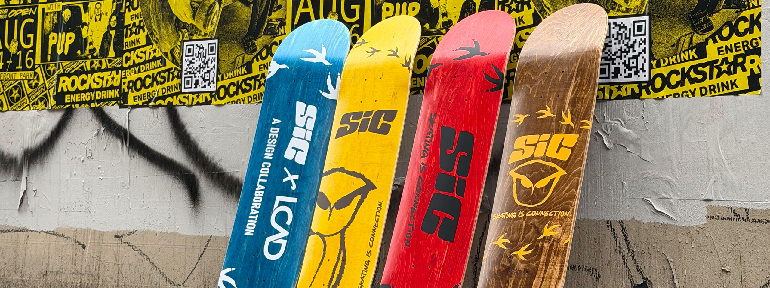 Minor in Action Sports